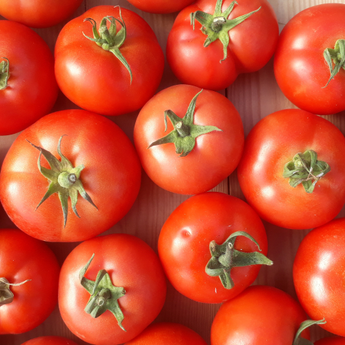 Légumes bios de Suscinio:  le goût des tomates (Juillet 2022)