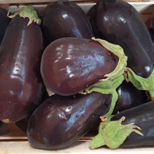 PROMO Aubergine 5 kg