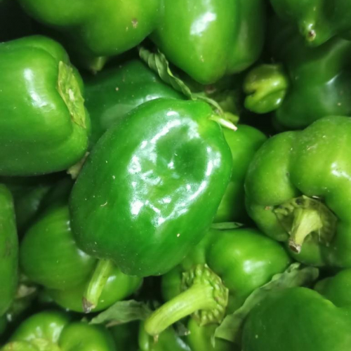 PROMO Poivron vert 3 kg