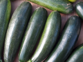 OFFRE SPECIALE - Cagette de 6 kg de courgette