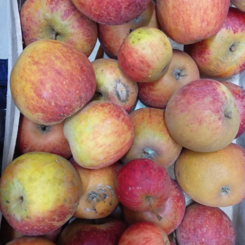 Promo Cageot 10 kg de Pommes