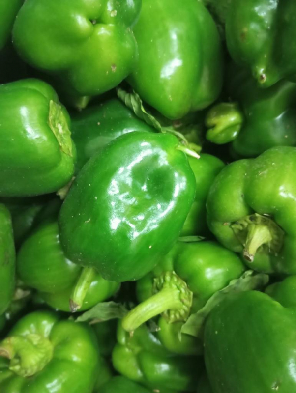 PROMO Poivron vert 3 kg